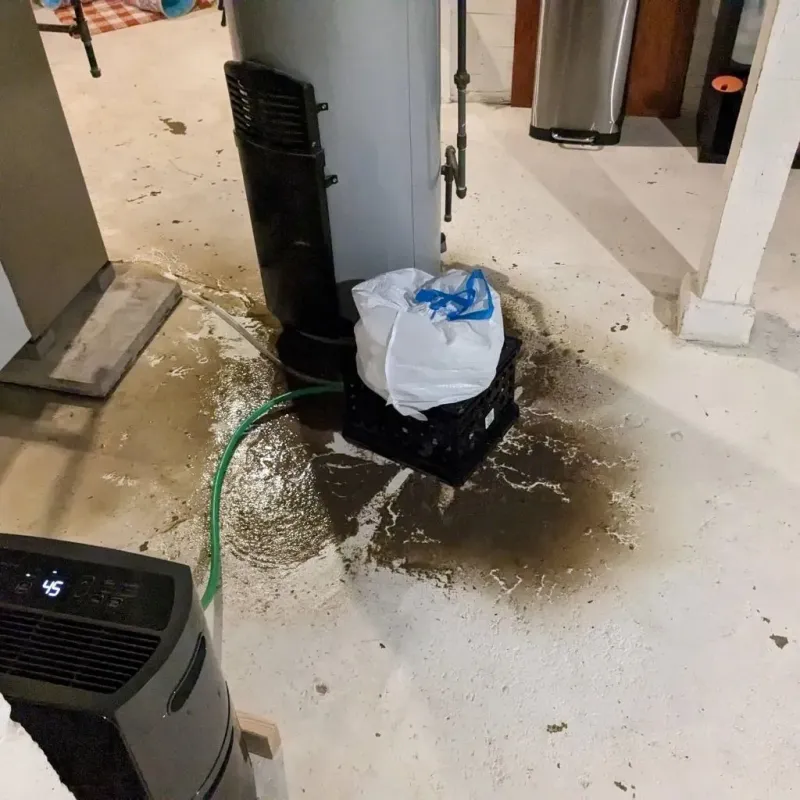 Sewage Backup Cleanup Service in Hughes, AR